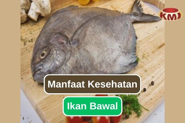 7 Alasan Kenapa Memakan Ikan Bawal Baik untuk Tubuhmu